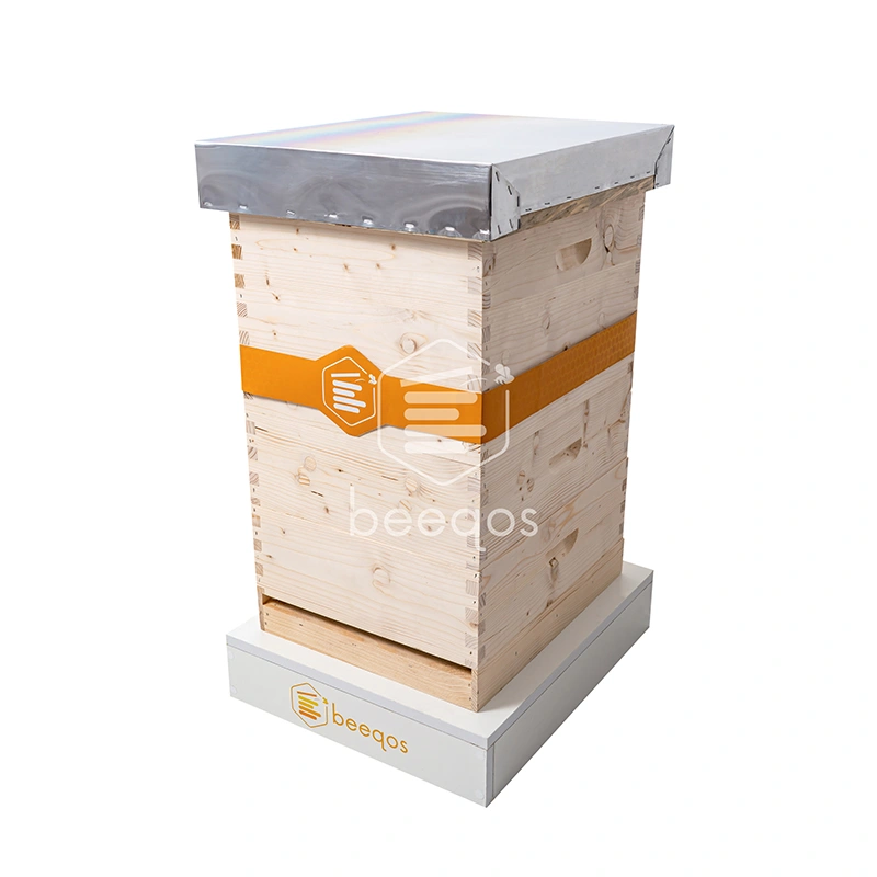 Beehive (LR)