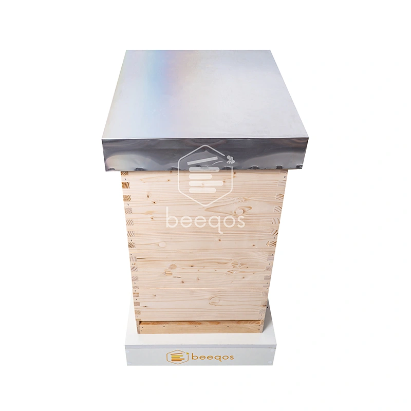 Beehive (LR) - Image 2